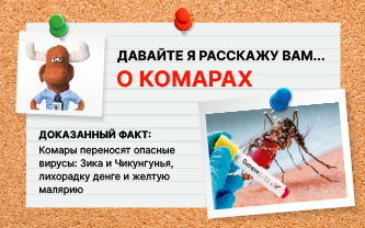 Какие заболевания переносят комары? Какие заболевания переносят комары?