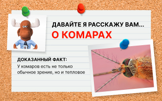 Видят ли комары в темноте? Видят ли комары в темноте?