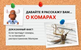 Что будет, если комары исчезнут? Что будет, если комары исчезнут?