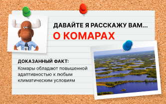 Где находится самое большое поселение комаров? Где находится самое большое поселение комаров?
