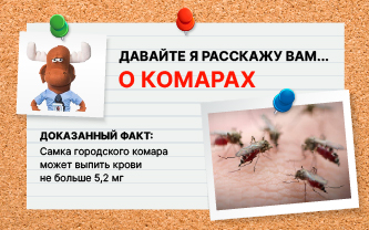Сколько крови может вместить комар? Сколько крови может вместить комар?