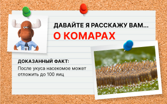 Если крови нет в рационе, самка все равно отложит яйца Если крови нет в рационе, самка все равно отложит яйца