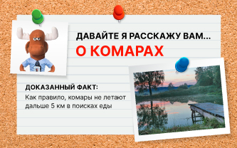Сколько способен пролететь комар в поисках еды? Сколько способен пролететь комар в поисках еды?