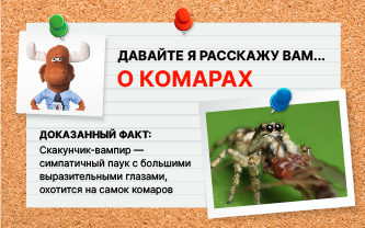 Скакунчик-вампир Скакунчик-вампир